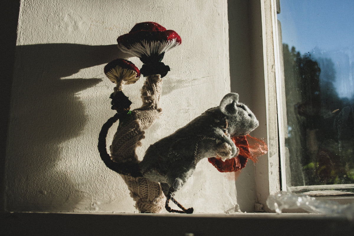 Early Creatures