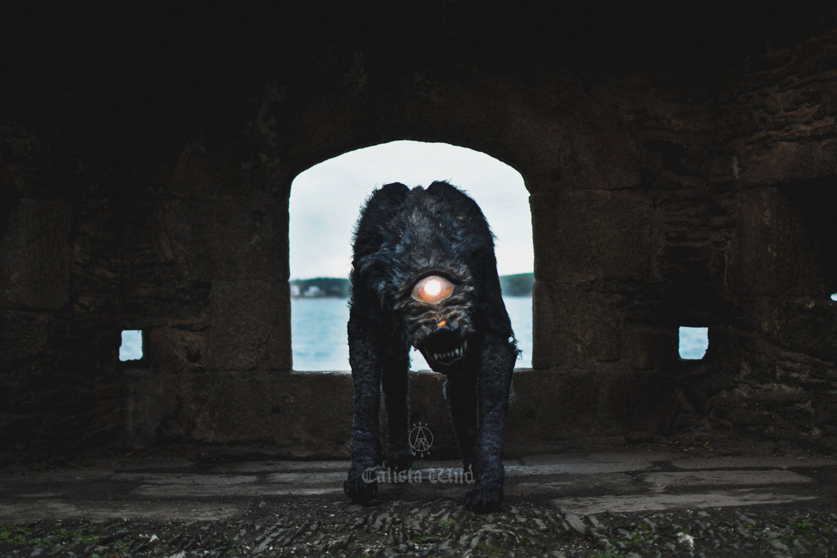 The Black Dog