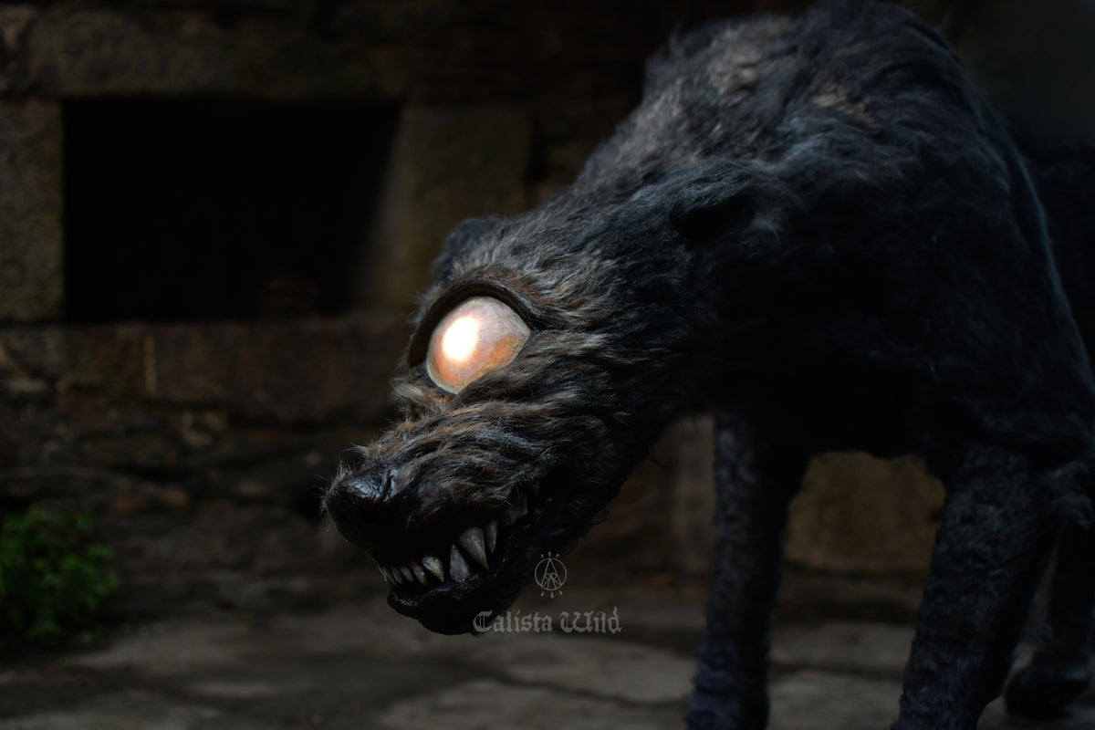 The Black Dog