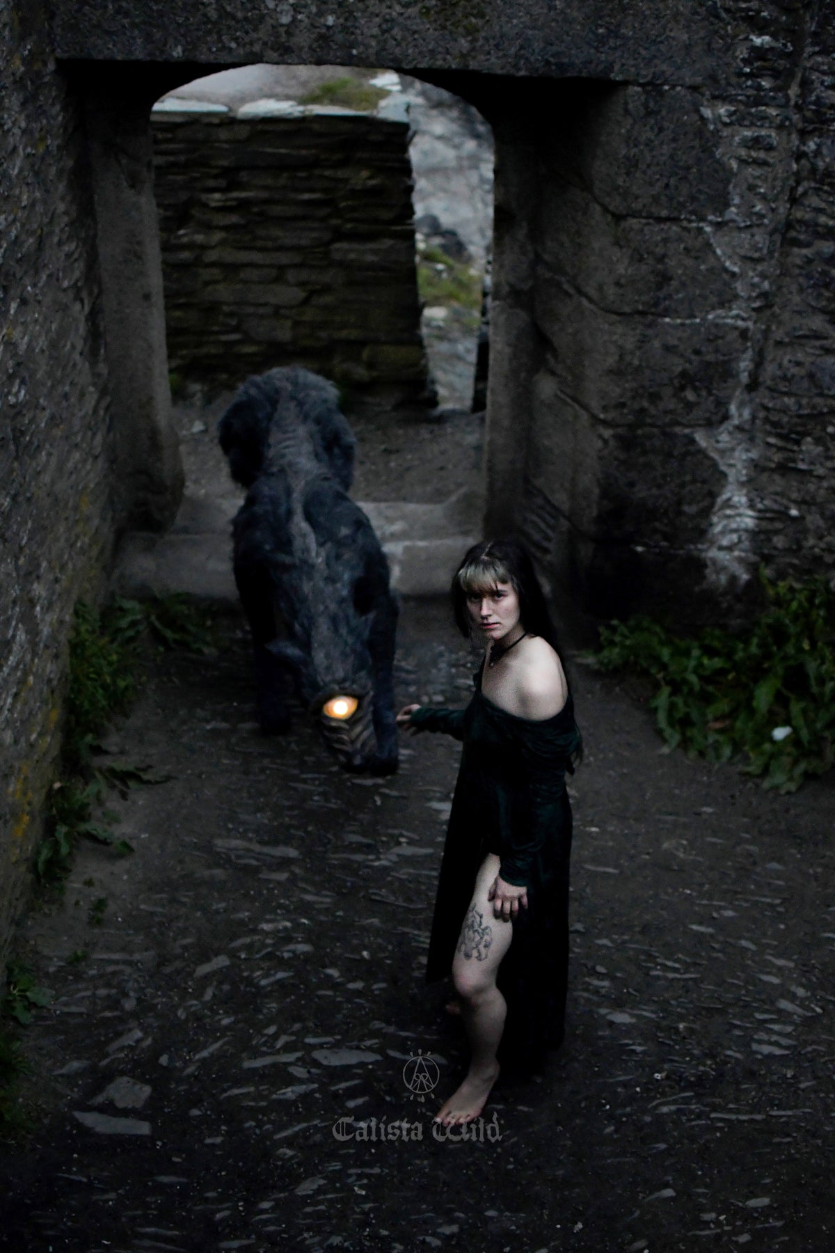 The Black Dog