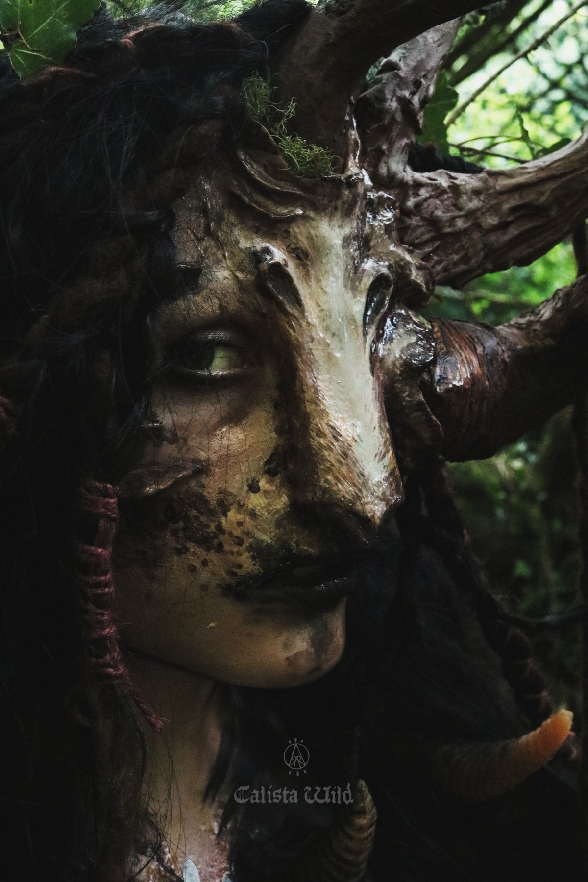 The Cult of Mortentra