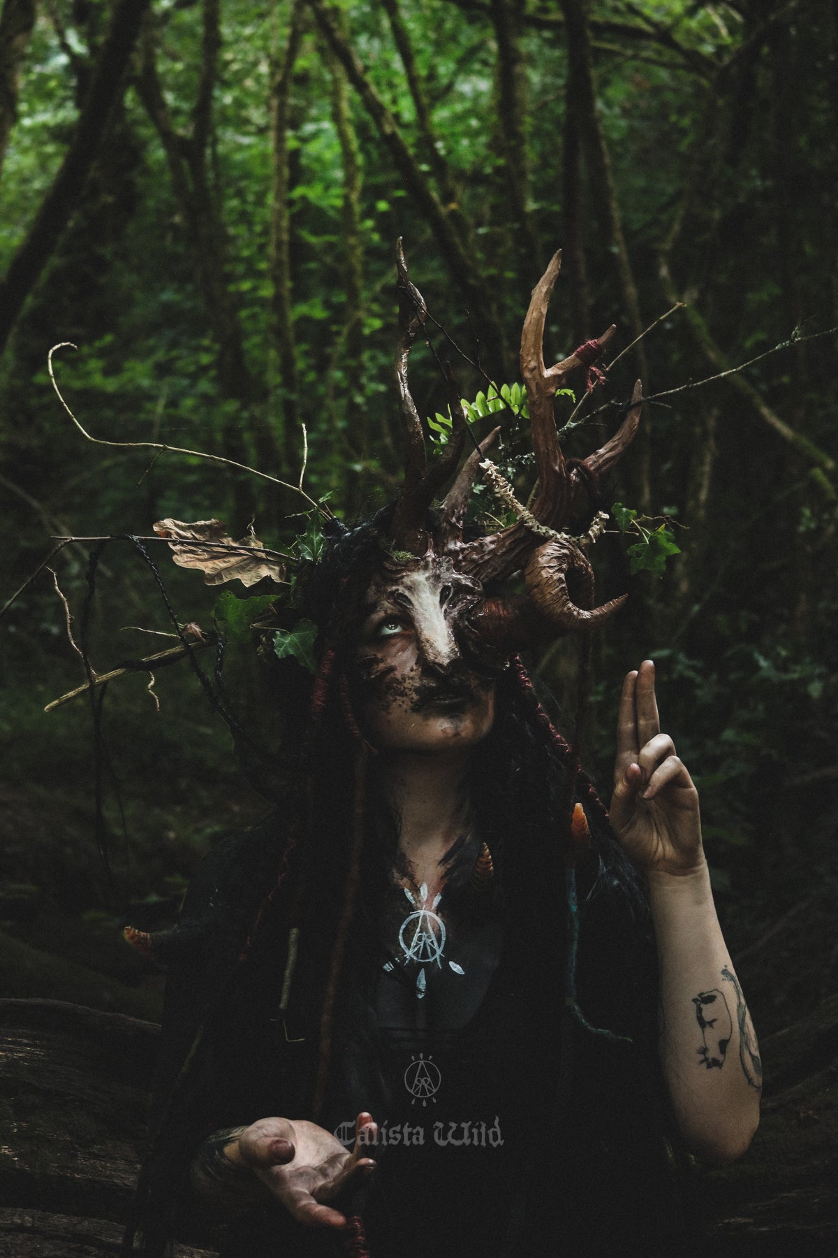 The Cult of Mortentra