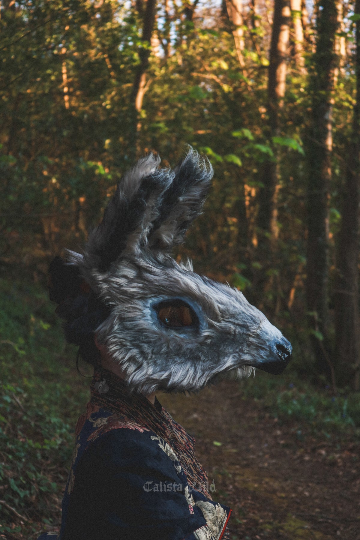 Donkey at LAMP