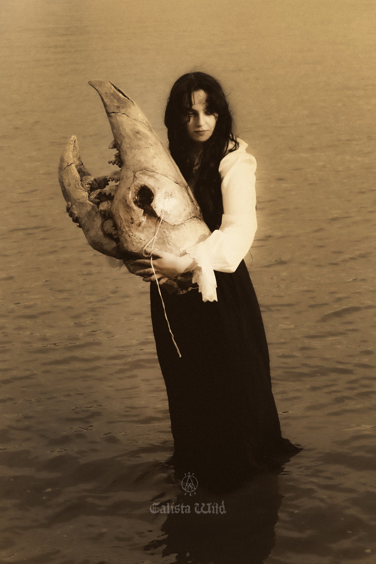Discovery of the Morgawr, 1880