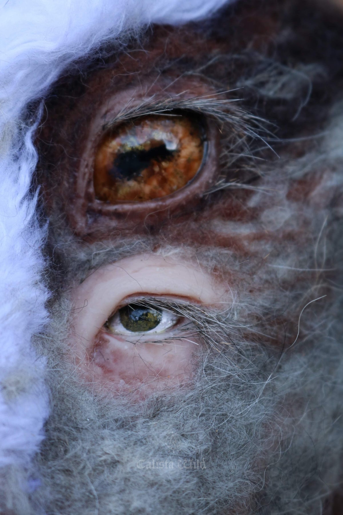 The Forest God