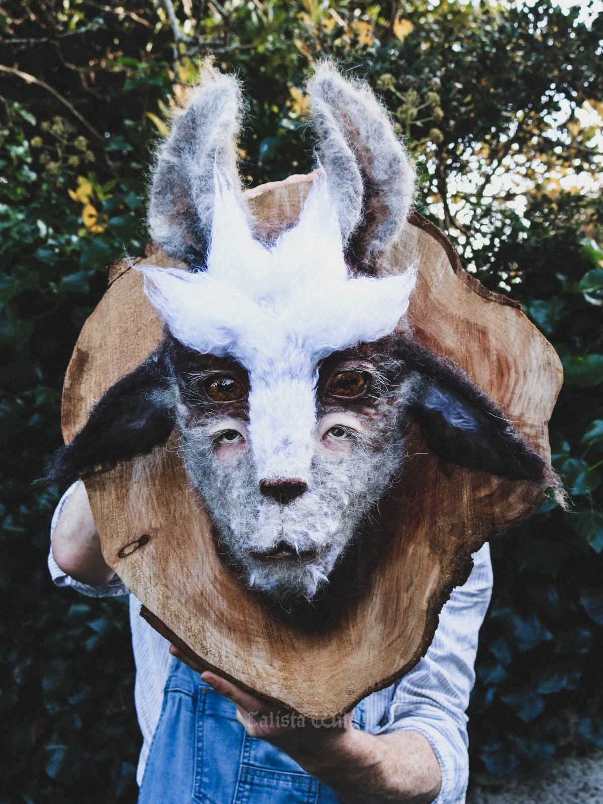 The Forest God