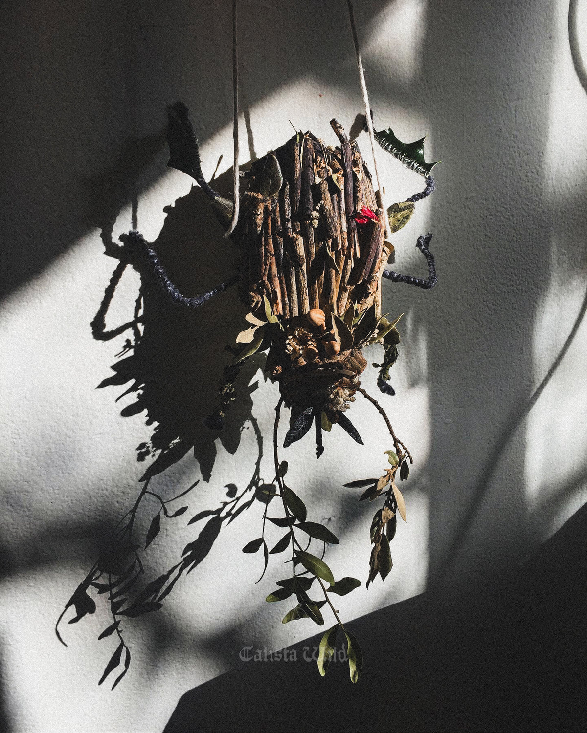 Early Creatures