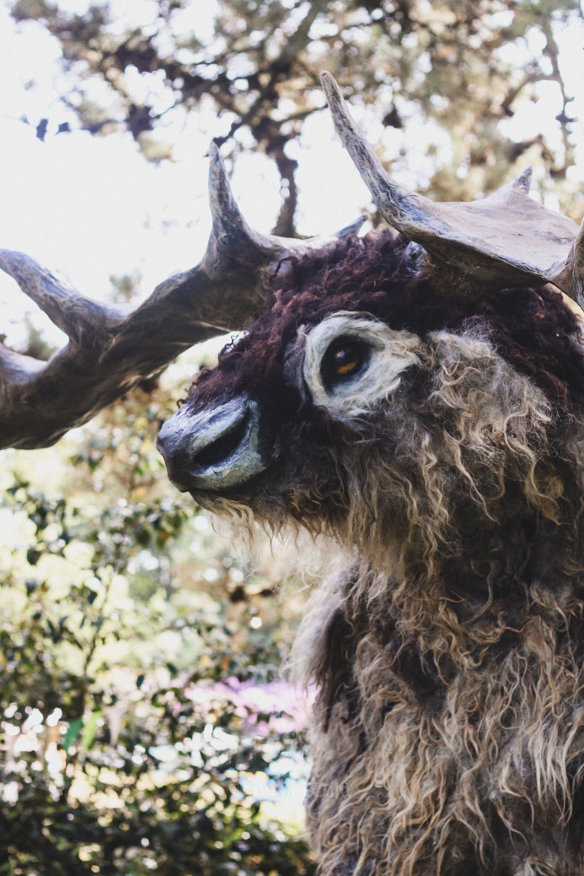 Megaloceros