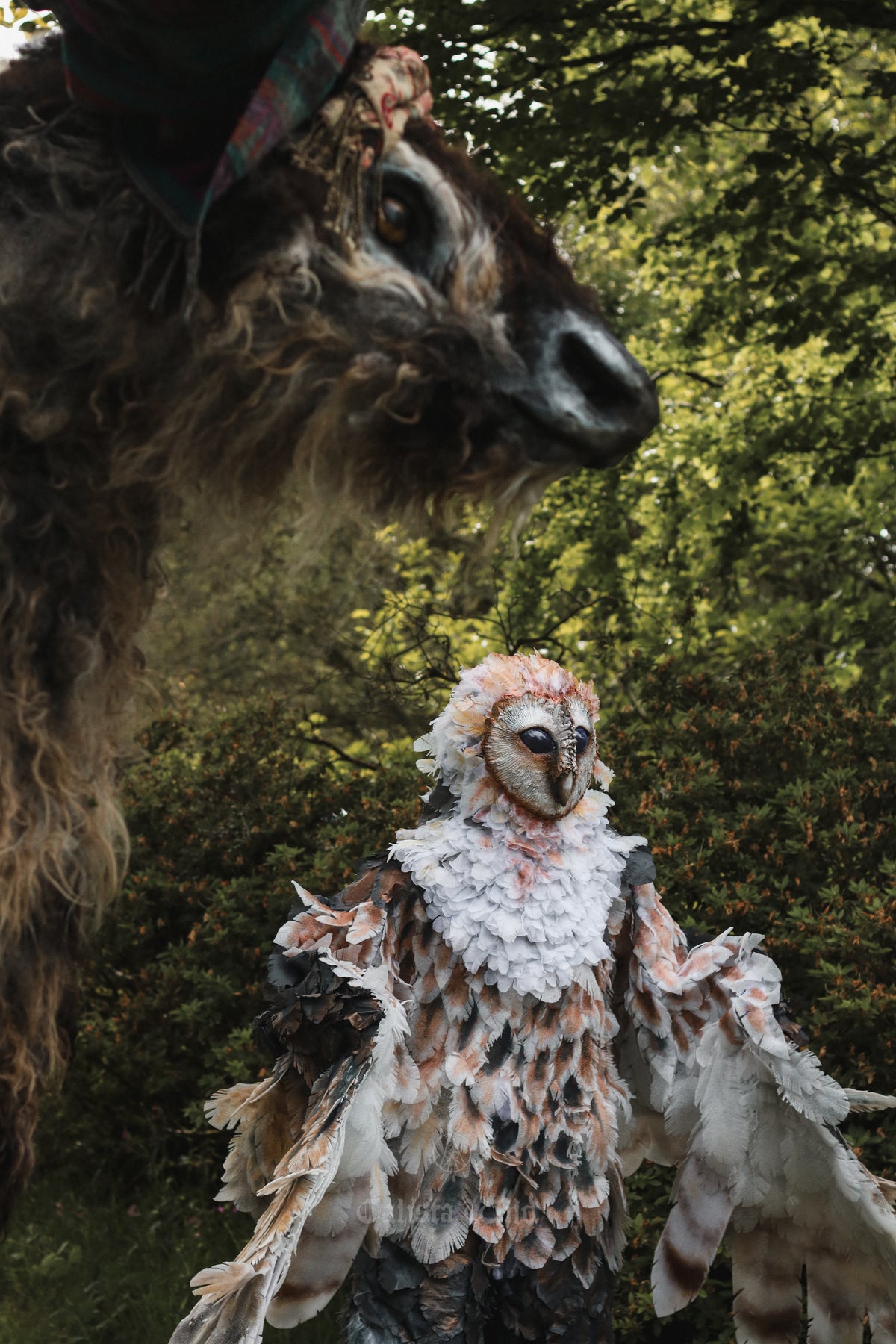 The Owlman of Mawnan Smith