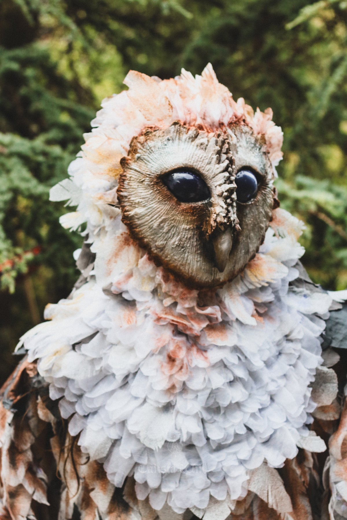 The Owlman of Mawnan Smith