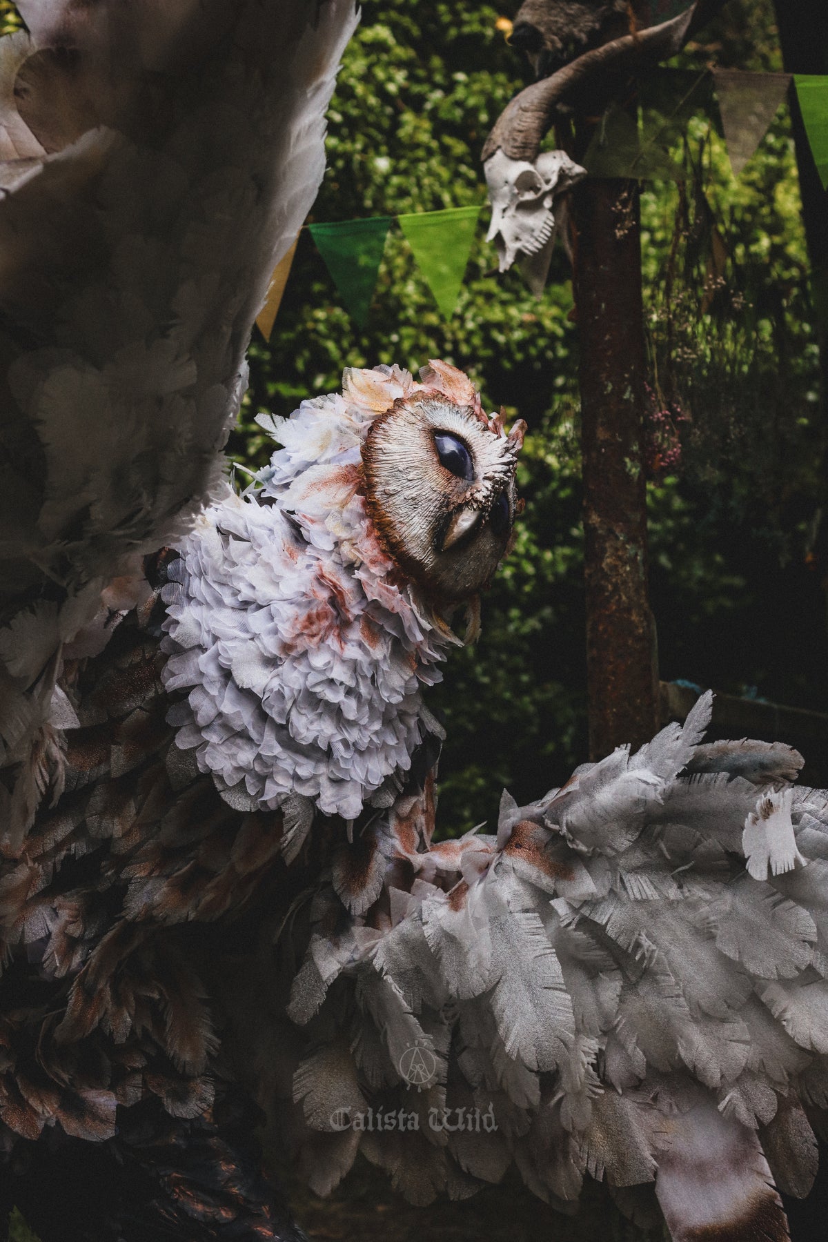 The Owlman of Mawnan Smith