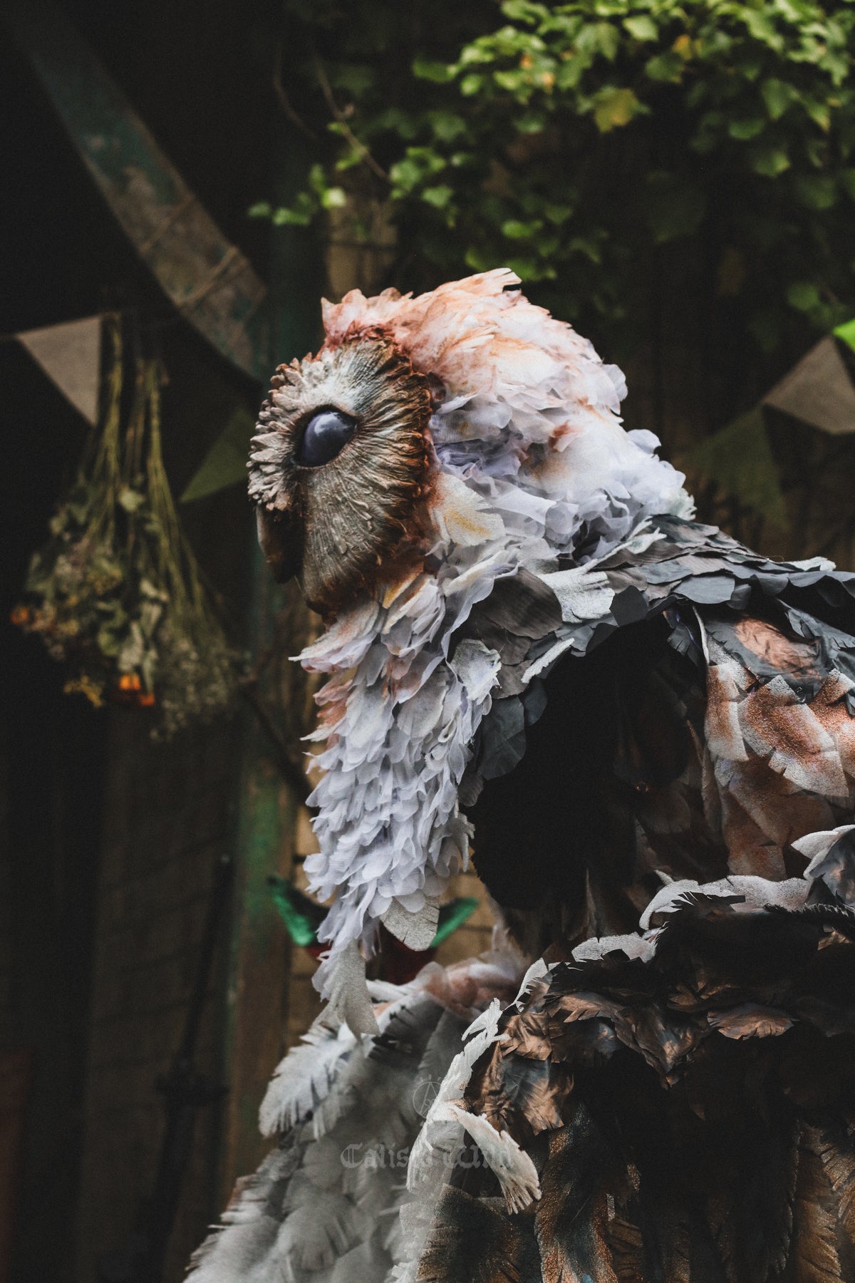 The Owlman of Mawnan Smith